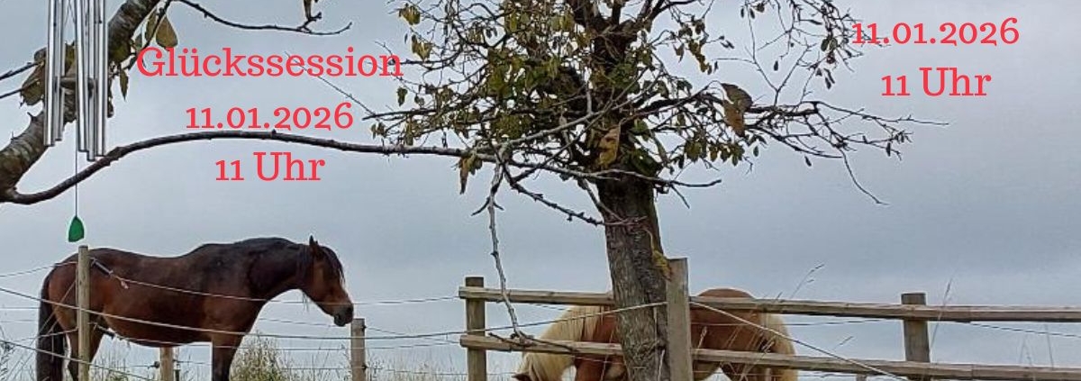 Mein mutiges Pferdejahr