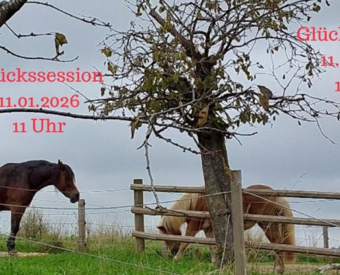 Mein mutiges Pferdejahr