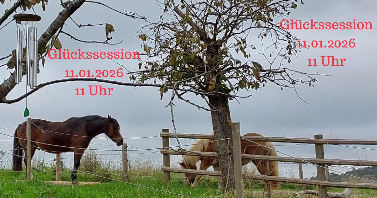 Mein mutiges Pferdejahr