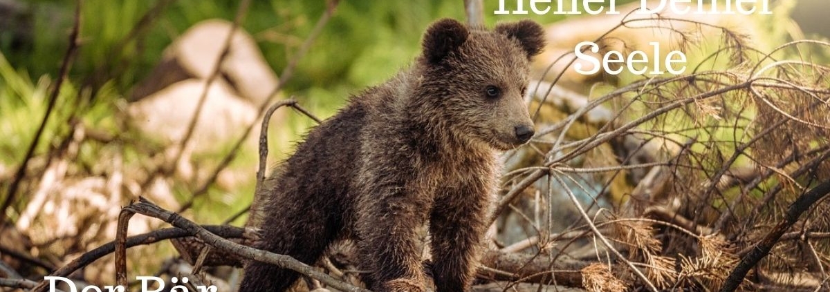 Wer bin ich? Deine geistige Herkunft