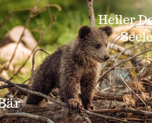 Wer bin ich? Deine geistige Herkunft