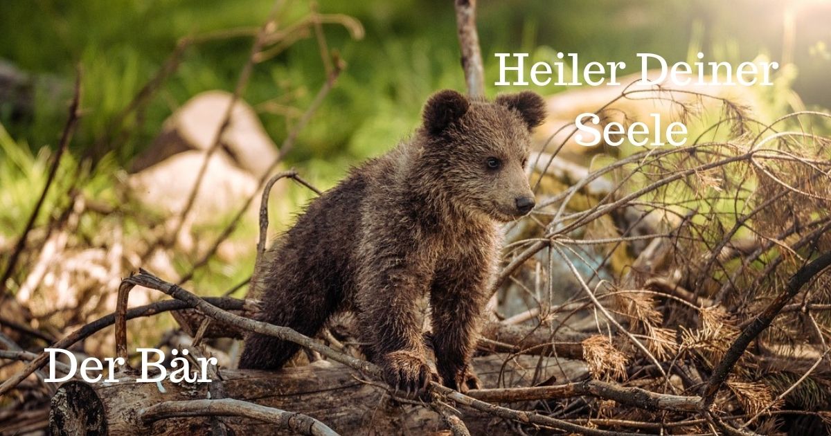 Wer bin ich? Deine geistige Herkunft