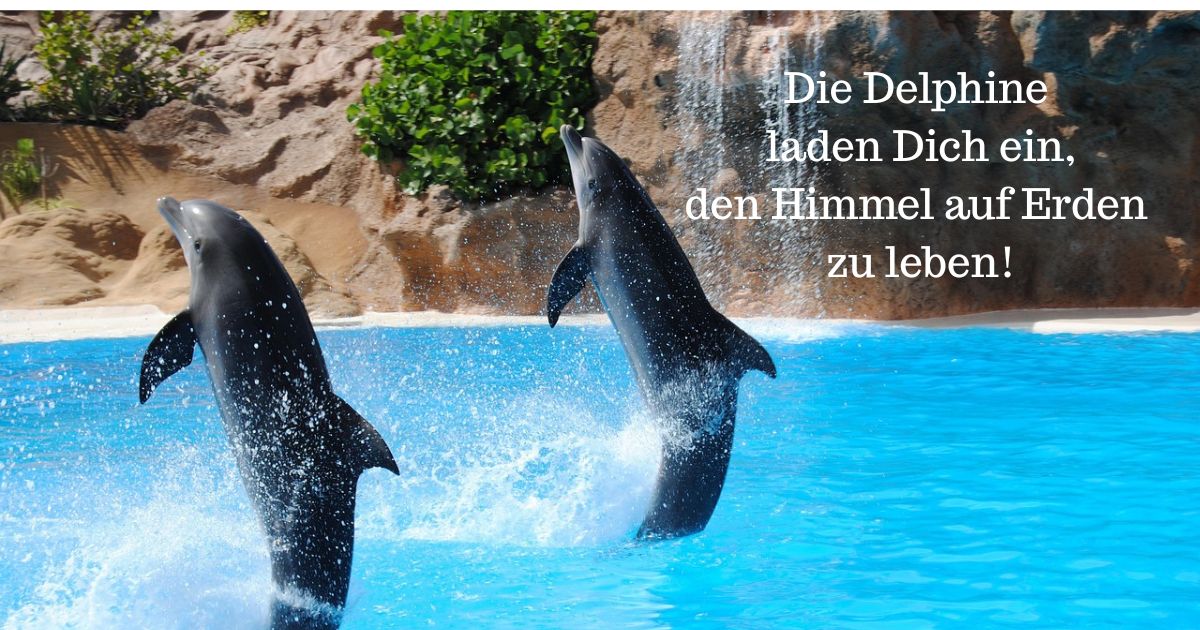 Der Delphin ruft Dich