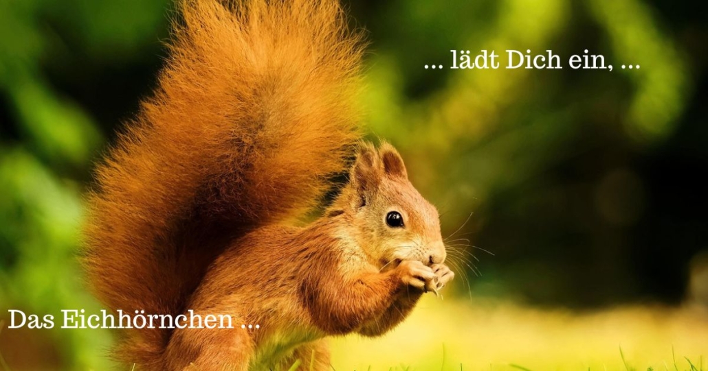März - Das Eichhörnchen und Du