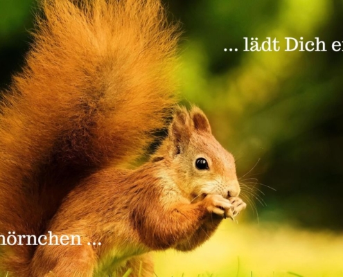 März - Das Eichhörnchen und Du