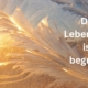 Die Lebenszeit ist begrenzt