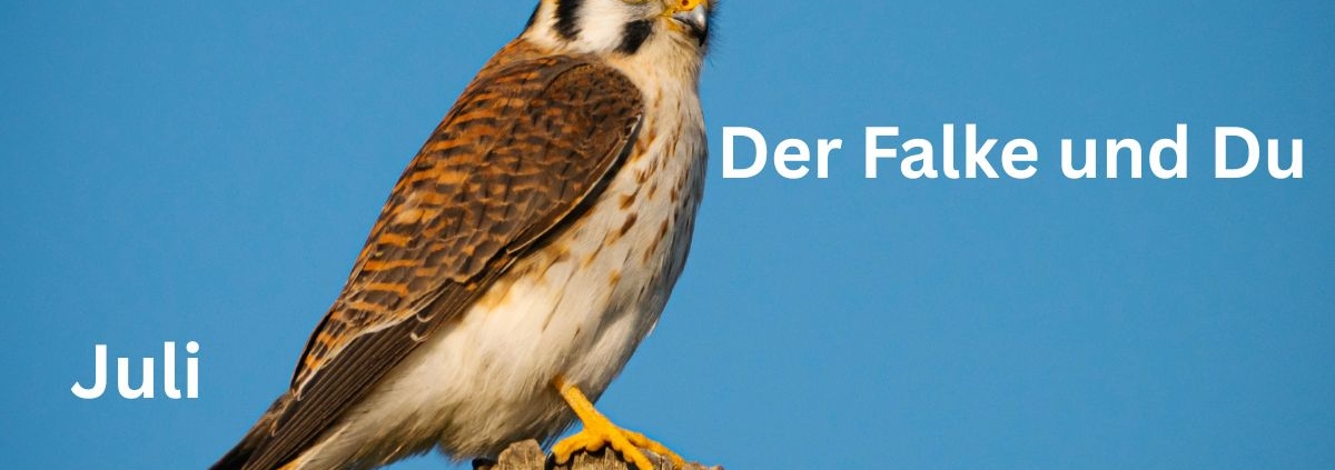 Juli - Der Falke und Du