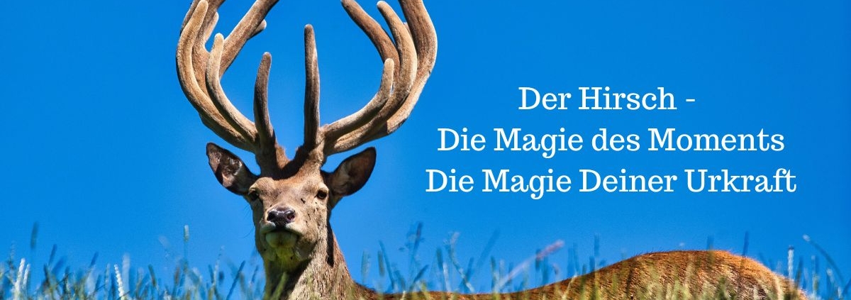 Wahrhaftige Freundschaft