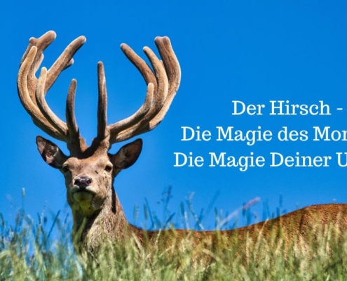 Wahrhaftige Freundschaft