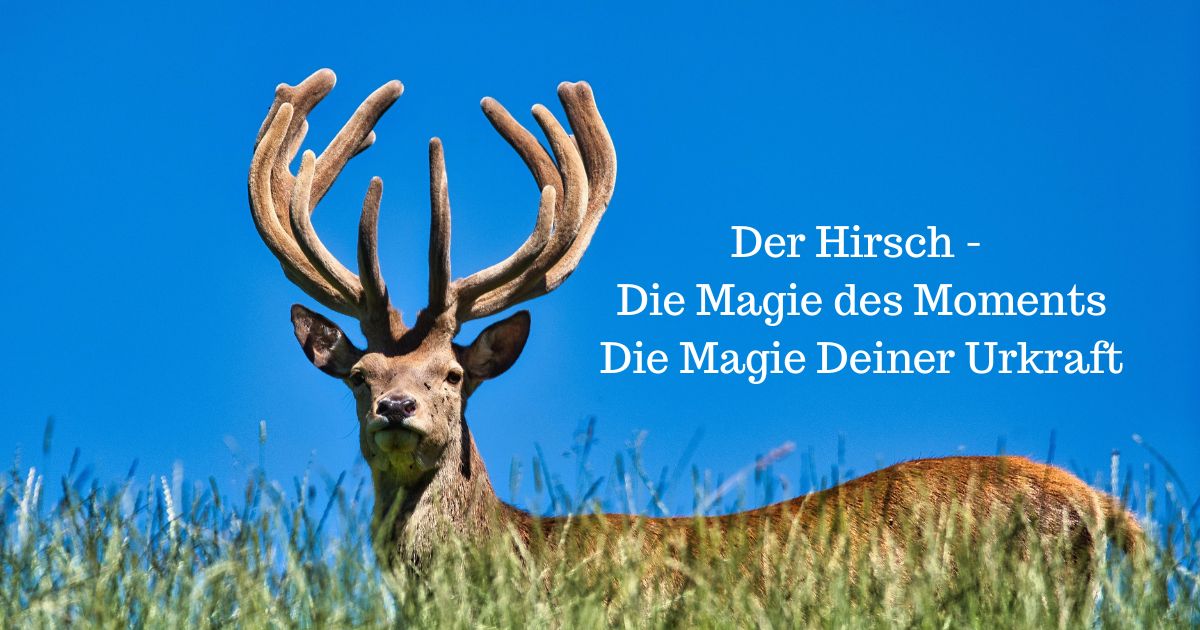 Wahrhaftige Freundschaft