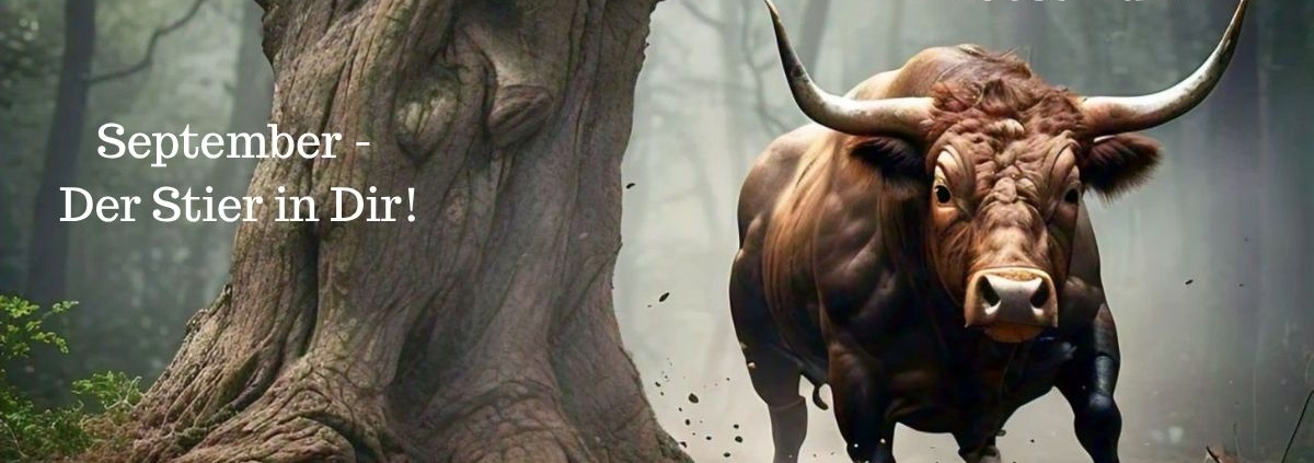 September - Der Stier und Du