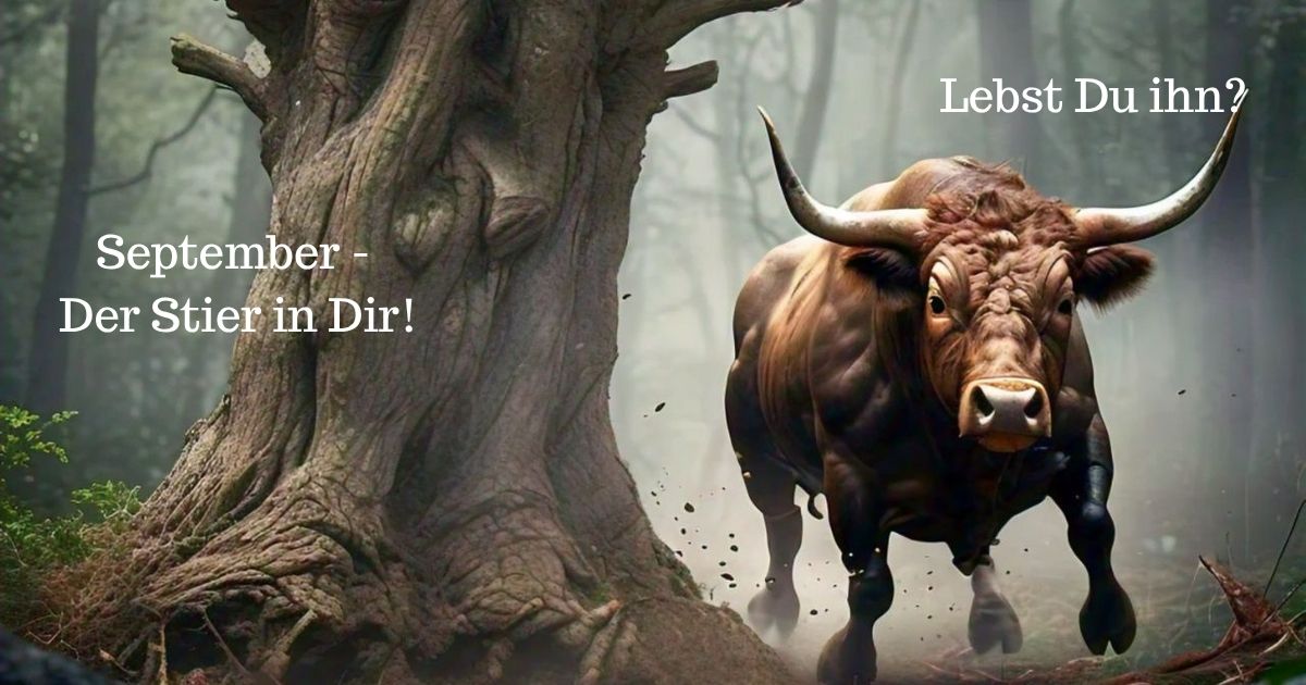 SeptemberStier September - Der Stier und Du